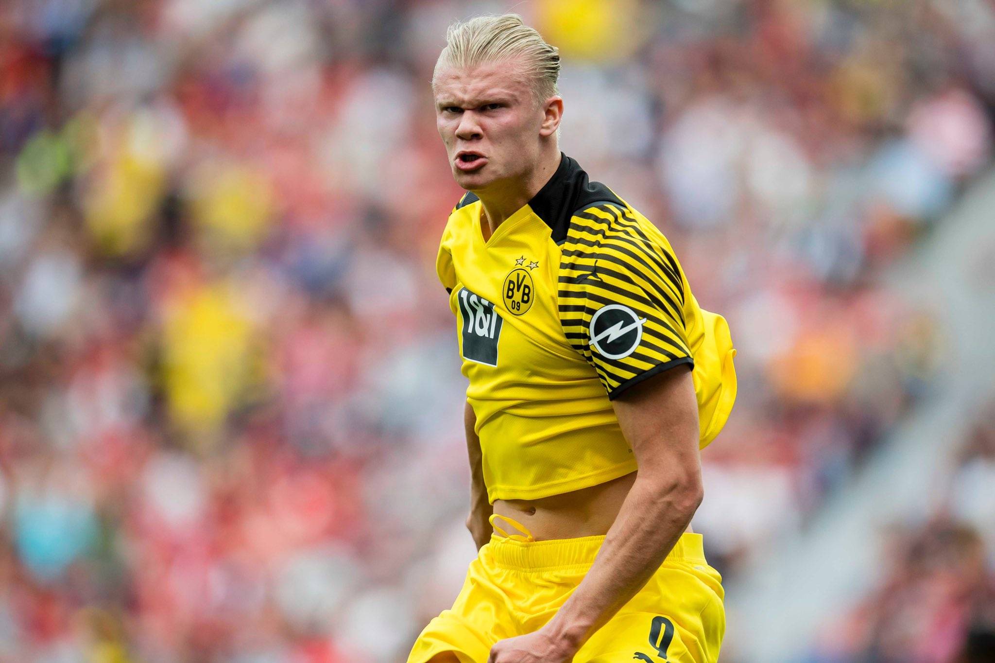 防守端的噪音太大了（防守端噪声过大）